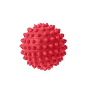 Bola Cravinho Para Cachorros - 1 Unidade