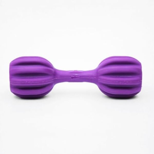 Brinquedo Pet Fit Roxo Médio Resistência Alta